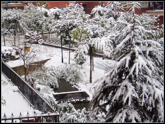 县城迎来大雪1.jpg