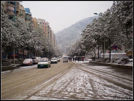 县城迎来大雪8.jpg