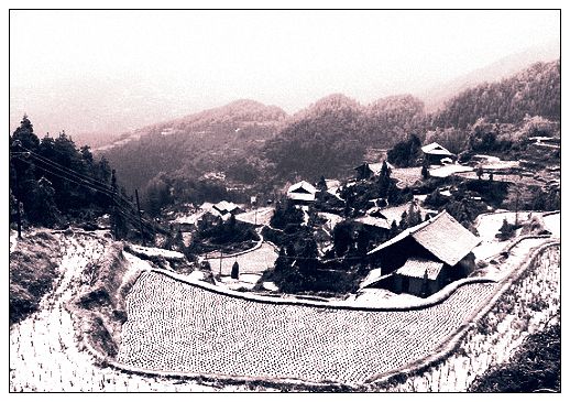 凝冻天气那些没电缺粮的地方.jpg 凝冻天气那些没电缺粮的地方.jpg