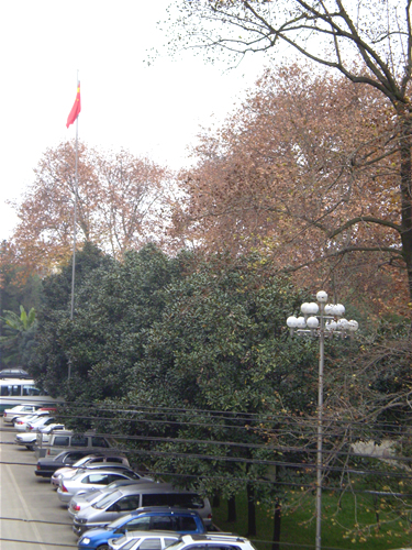 阴天试景2.jpg