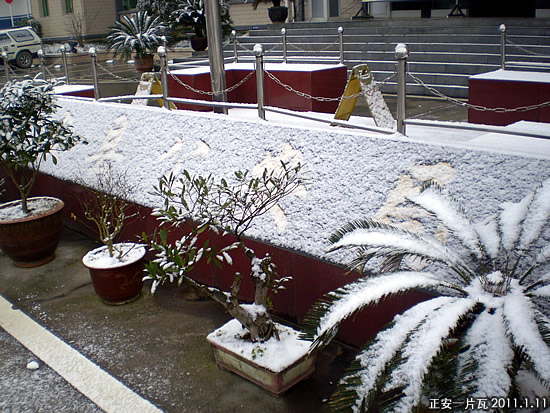 正安雪后浅白一片3.JPG
