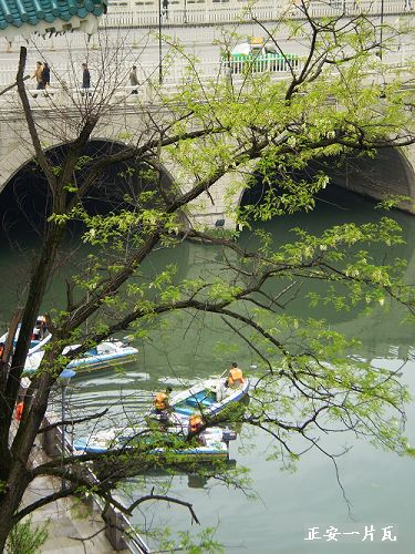 河道黄马夹1.jpg