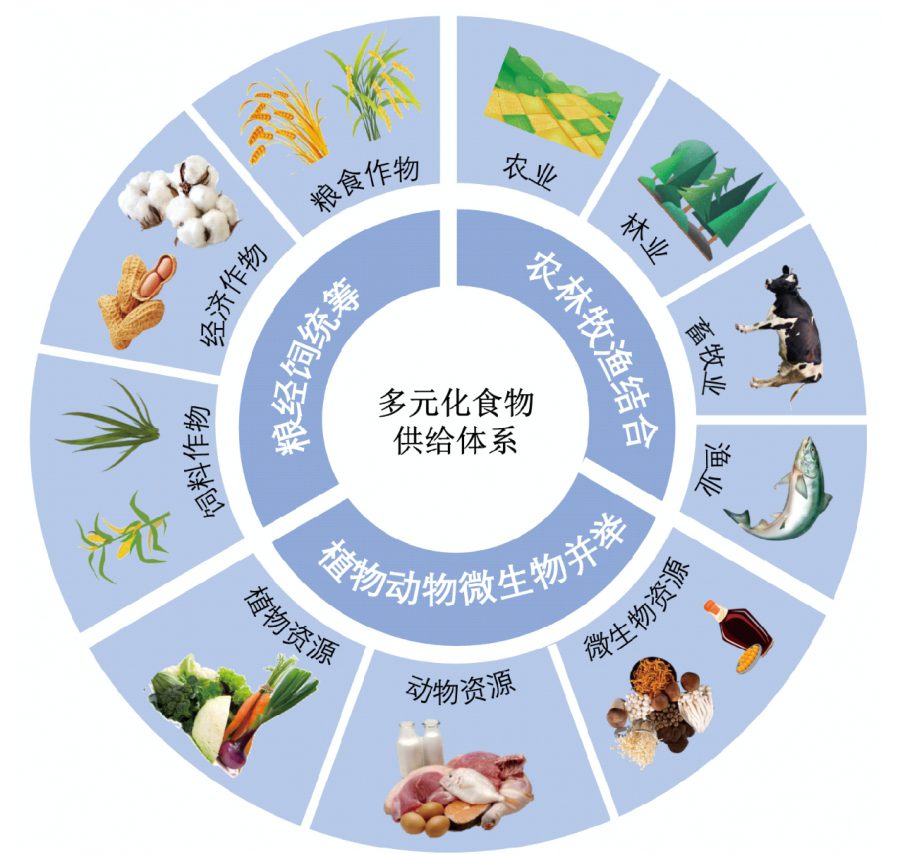 食物体系.jpg 食物体系.jpg