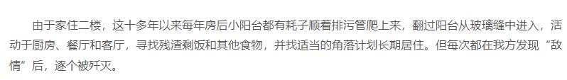 代码实现wordpress首行缩进3.jpg 代码实现wordpress首行缩进3.jpg