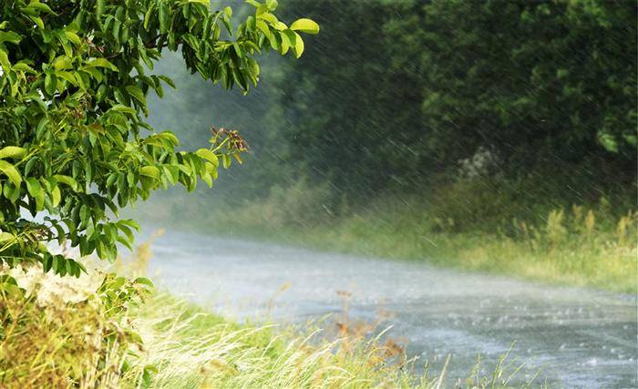 甲辰年4月29日夜起暴风雨.jpg 甲辰年4月29日夜起暴风雨.jpg