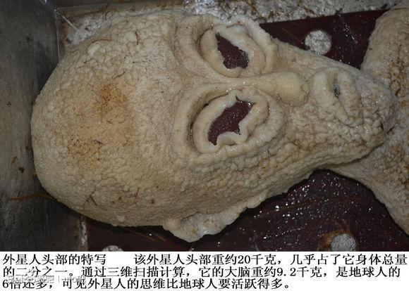 落难的外星人3.jpg 落难的外星人3.jpg