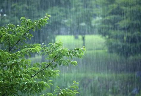 大雨.jpg