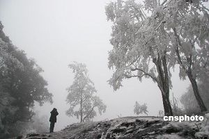 不负责的新闻:《贵州出现罕见雾凇奇观》.jpg 不负责的新闻:《贵州出现罕见雾凇奇观》.jpg