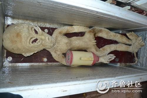 落难的外星人2.jpg 落难的外星人2.jpg