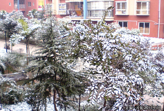 正安雪后浅白一片1.JPG