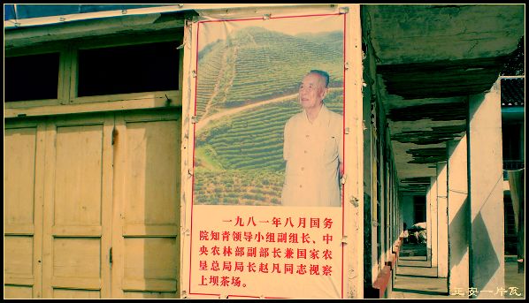 20100409102950.jpg