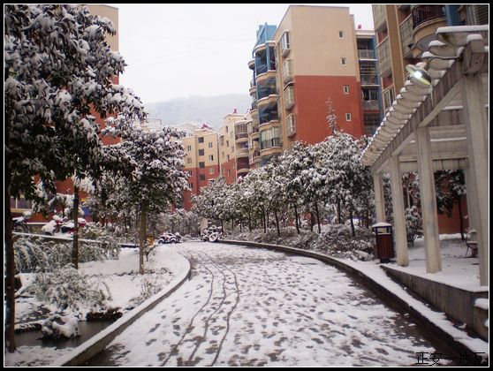县城迎来大雪2.jpg