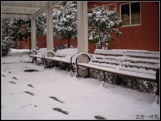 县城迎来大雪4.jpg
