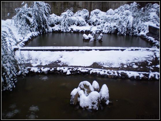县城迎来大雪5.jpg
