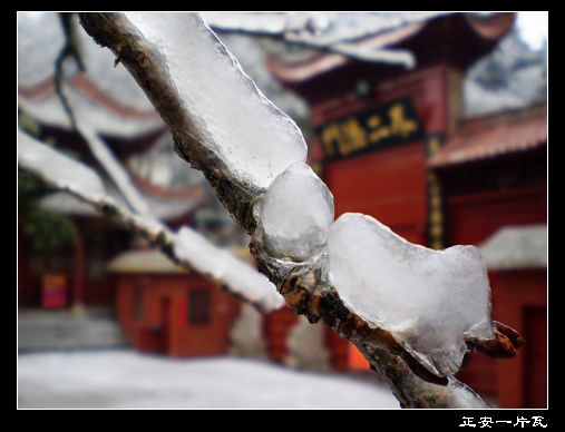 黔灵山之雪景2.jpg 黔灵山之雪景2.jpg