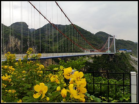 20100502154250.jpg 20100502154250.jpg