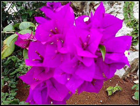 20100502154401.jpg 20100502154401.jpg