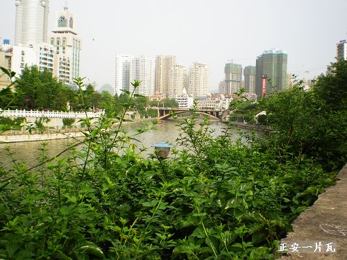 南明河老一中段1.jpg