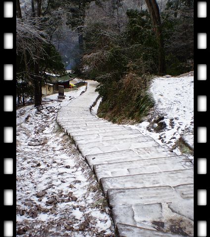 黔灵山之雪景3.jpg 黔灵山之雪景3.jpg