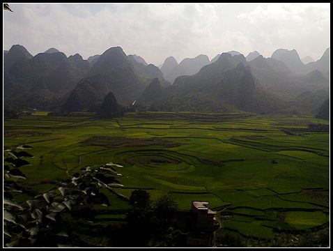 20100502154448.jpg 20100502154448.jpg
