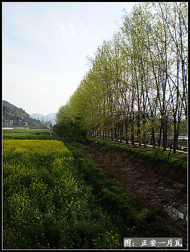 安龙招堤6.jpg 安龙招堤6.jpg