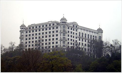 路边之花6.jpg