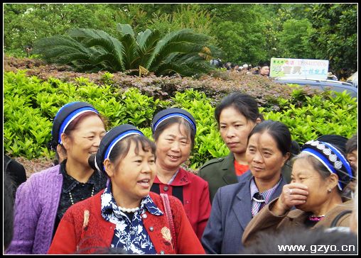 贵阳少数民族的四月八1.jpg 贵阳少数民族的四月八1.jpg
