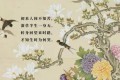 初来人间不知苦,潦草半生一身无