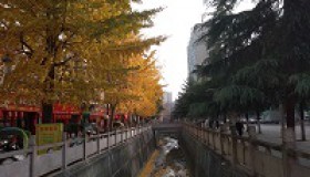 这两年有些寡言 这两年有些寡言