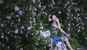 七绝•蔷薇美女 七绝•蔷薇美女