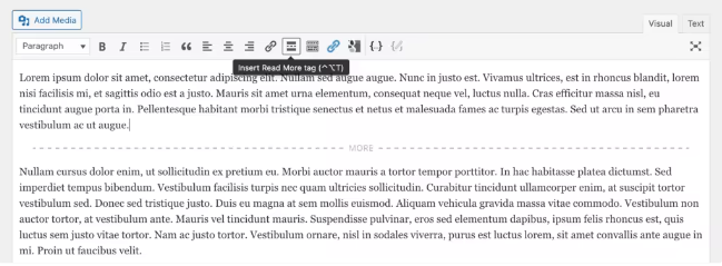最佳WordPress摘录长度及相关插件